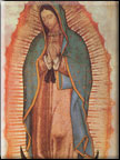 guadalupe-1