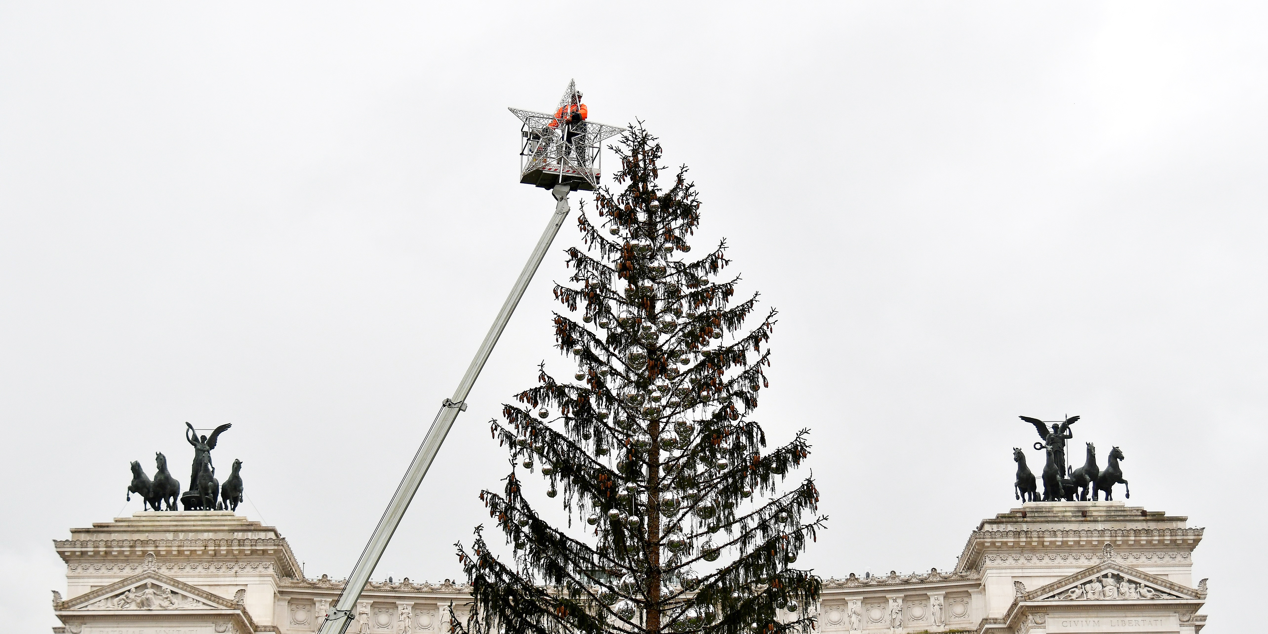 CHRISTMAS TREE