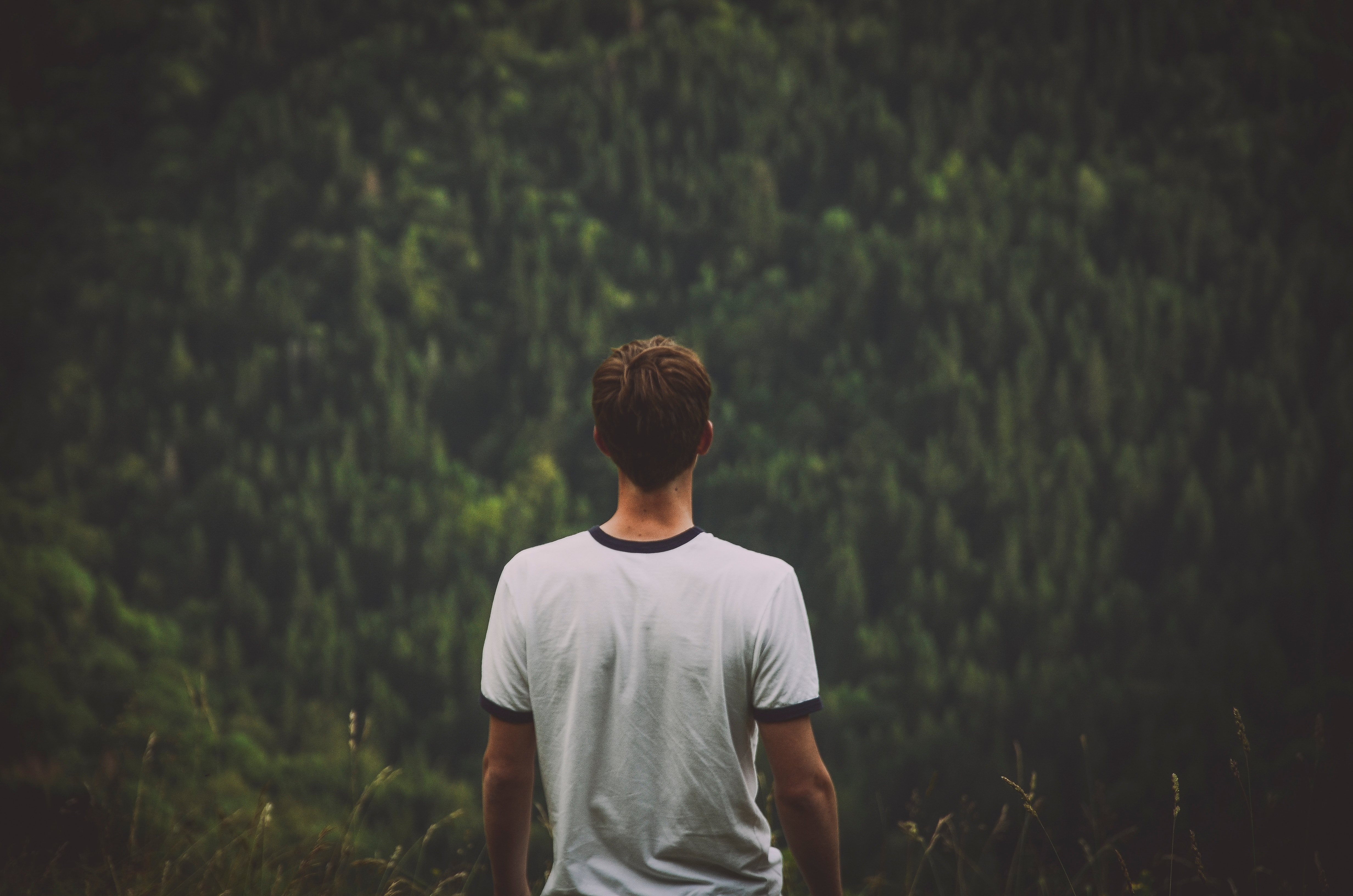 YOUNG MAN OVER A FOREST