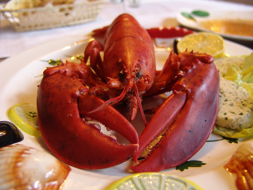 lobster.jpg