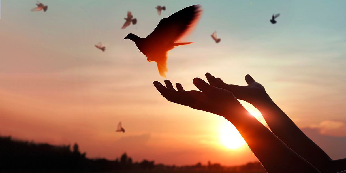 PEACE