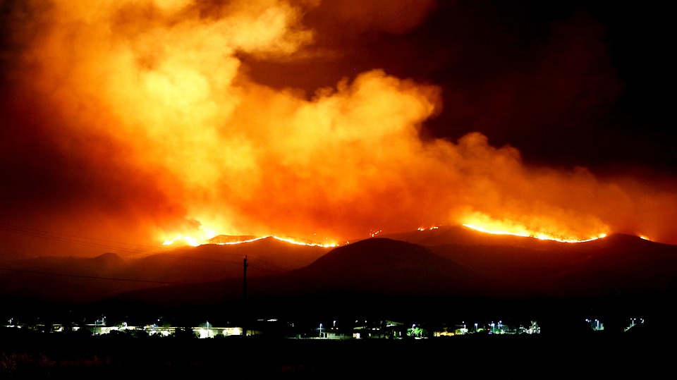 forest-fire.jpg
