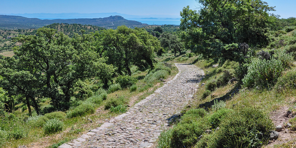 Assos Way