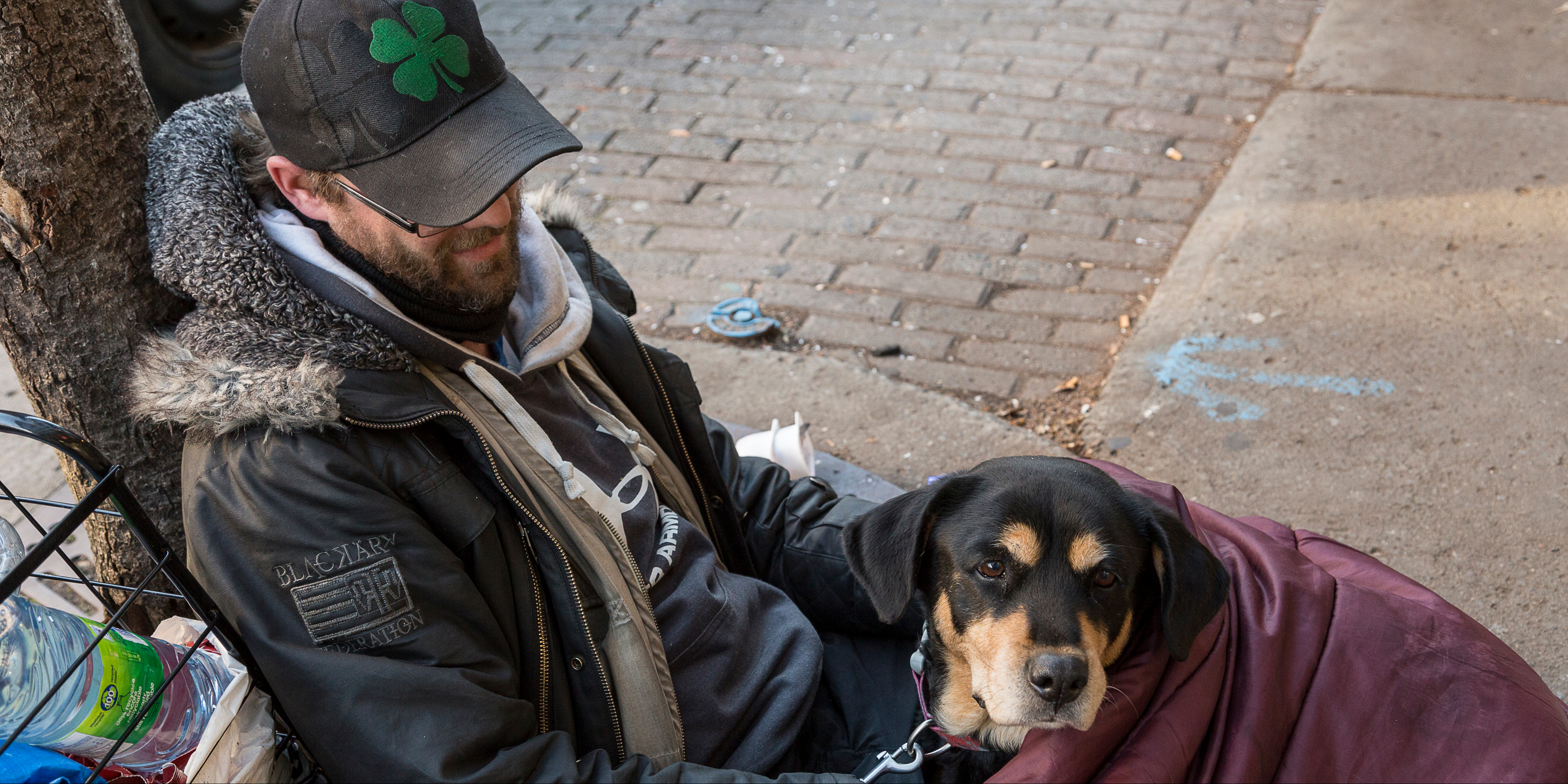 SDF avec son chien